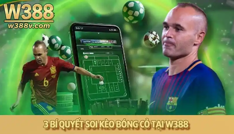 3 Bí quyết soi kèo bóng cỏ tại W388 giúp bạn về bờ