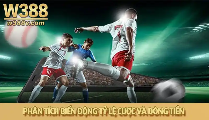 Bí quyết soi kèo hiệu quả: dựa theo biến động tỷ lệ cược và dòng tiền