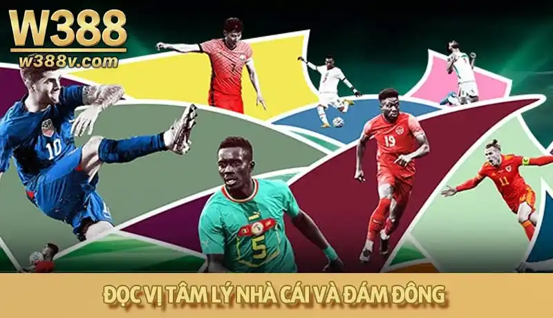 Biết cách đọc tỷ lệ kèo nhà cái và đọc vị tâm lý đám đông