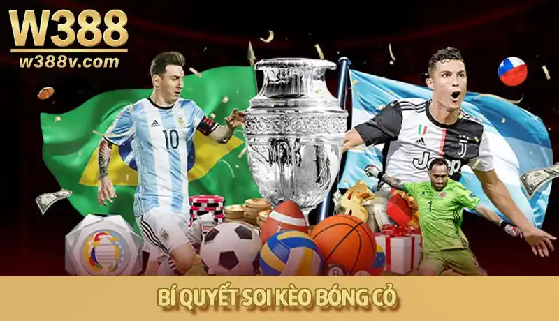 Khai thác thị trường ngách bóng cỏ soi kèo hiệu quả